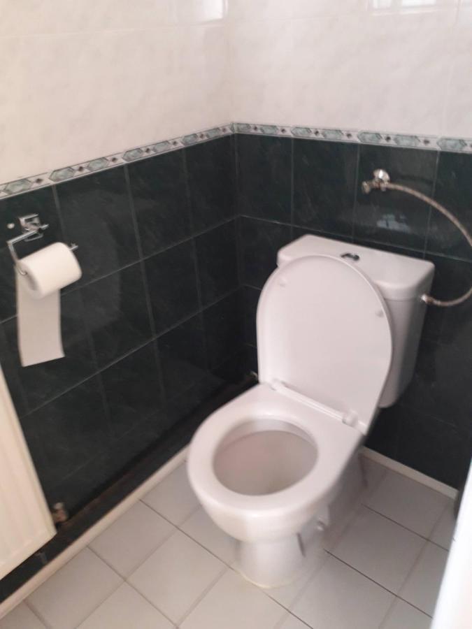 Penzion Na Strelnici Poděbrady Buitenkant foto